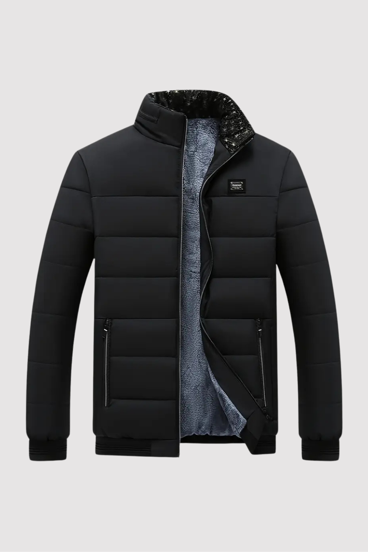 Herren Polyesterjacke Regular Fit Fleece Innenfutter Reißverschluss Stehkragen Leicht Warm Alltag Outdoor